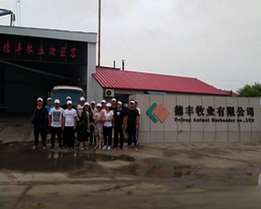 德豐牧業(yè)全體員工向全國(guó)人民問(wèn)好！